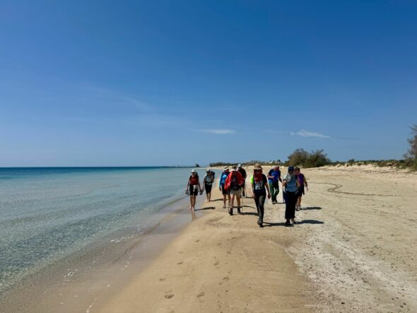 Immagine WhatsApp 2025-10-29 ore 23.41