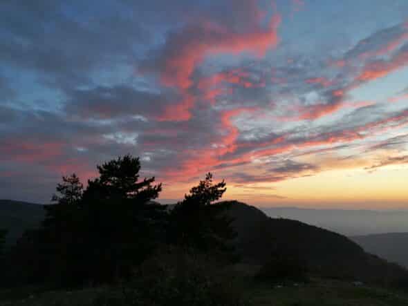 IMG_20201114_165358 - Copia