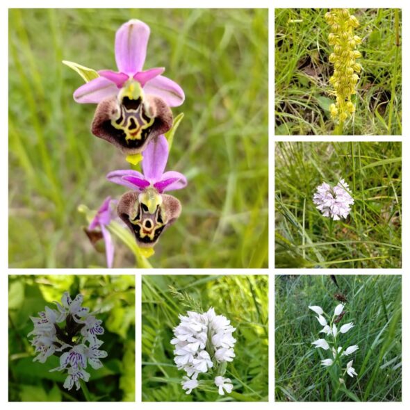 facebook_1761410664393_7387891795308711873