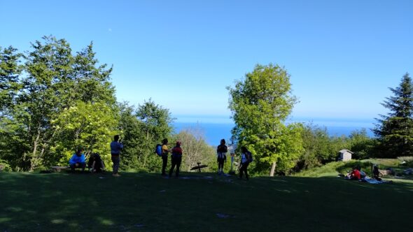 IMG-20240518-WA0040