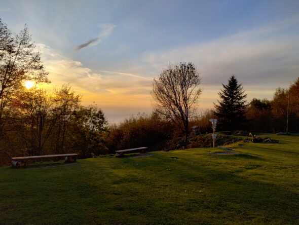 IMG_20241110_073310566_HDR
