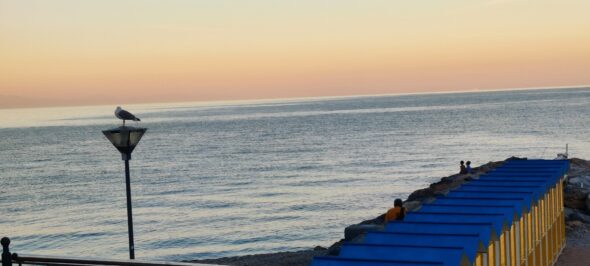 IMG_20250920_190947