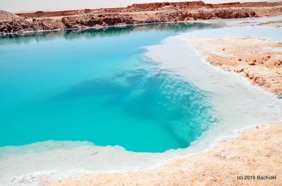 siwa salt