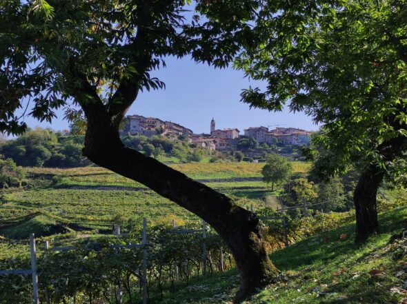 Tappa4_Castione_cammino San Rocco