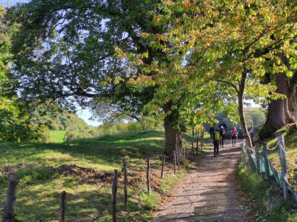 Tappa4_tra_Castione_Brentonico