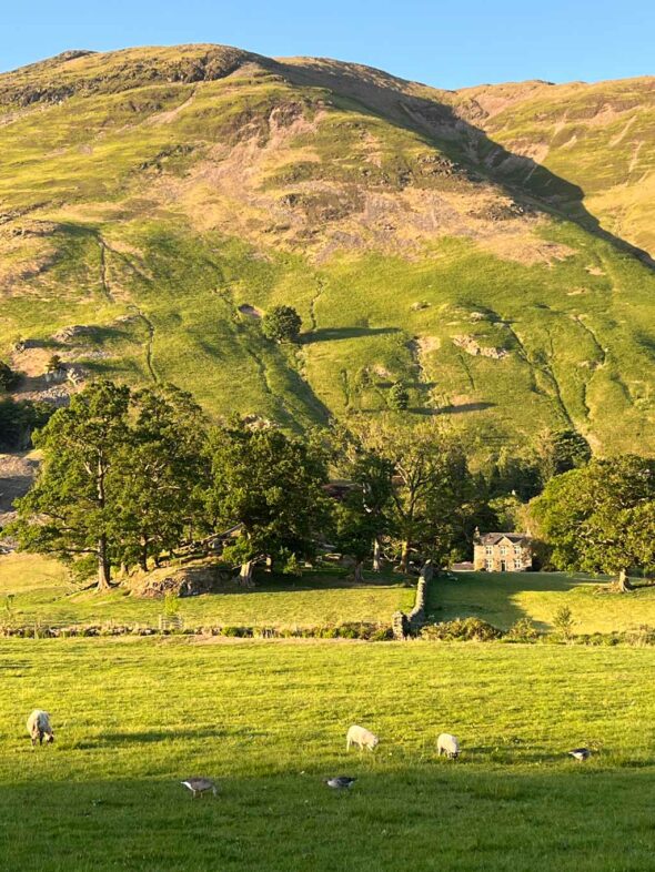 Lake-district-Walden-1