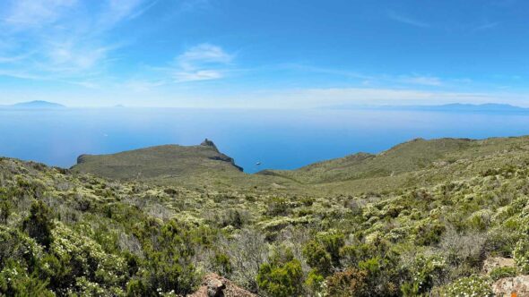 Trekking-organizzato-di-gruppo-Isola-Capraia-Toscana-3