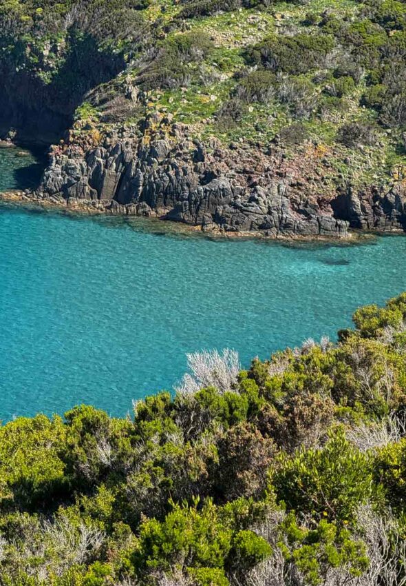 Trekking-organizzato-di-gruppo-Isola-Capraia-Toscana-5