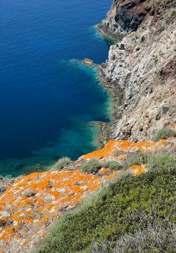 Trekking-organizzato-di-gruppo-Isola-Capraia-Toscana-6