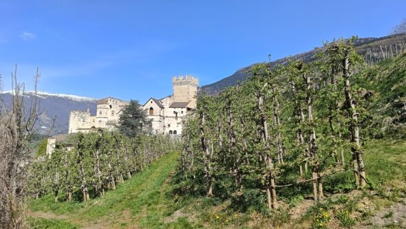 IMG20260411112958